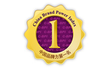 China Brand Power Index