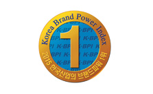 Korea Brand Power Index